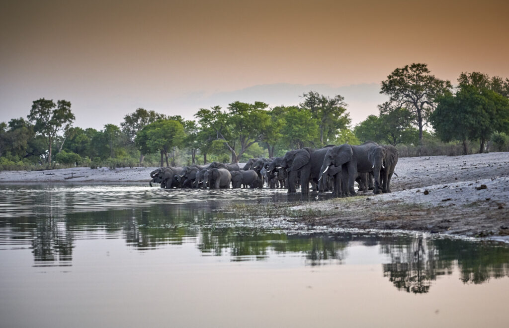 Nambwa-Safari-Namibia-1024x659-3