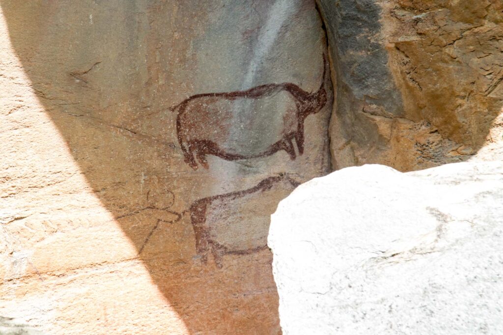 Tsodilo-rock-art-close
