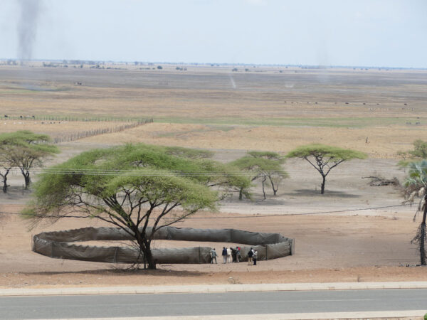 Mobile-bomas-for-rangeland-regeneration