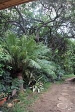 Kasane Self Catering - Image 3