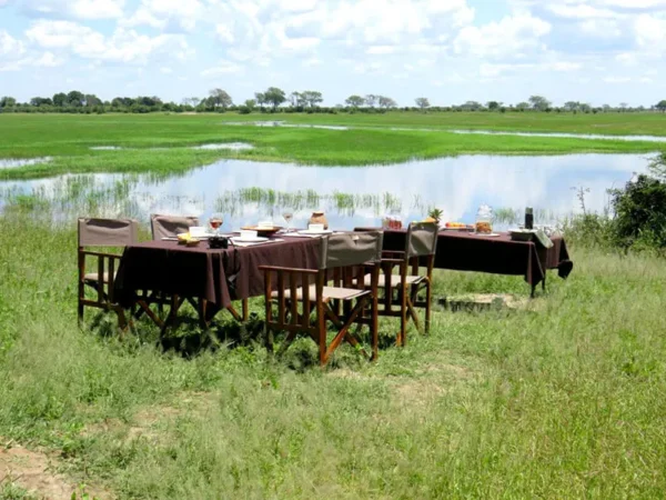 AFRICAN BUSH LOVERS SAFARIS - Image 3