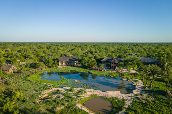 Chobe Mopani Forest Lodge - Image 4