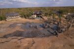 Chobe Mopani Forest Lodge - Image 5