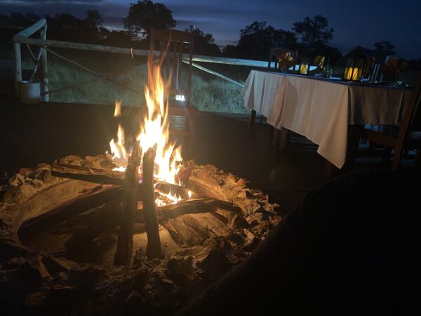 Chobe Mopani Forest Lodge - Image 6