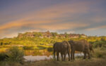 Victoria Falls Safari Lodge - Image 2