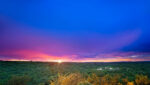 Victoria Falls Safari Lodge - Image 3