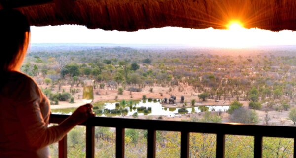 Victoria Falls Safari Lodge - Image 6
