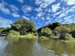 Waterberry Zambezi Lodge - Image 2
