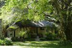 Waterberry Zambezi Lodge - Image 7