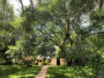 Waterberry Zambezi Lodge - Image 9