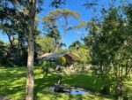 Waterberry Zambezi Lodge - Image 12