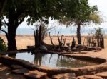 Rhino Safari Camp - Image 3