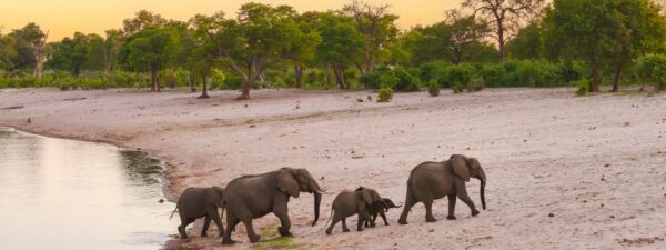 African Monarch Lodges - Image 4