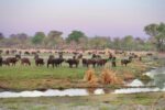 Angola Uncharted Mobile Safari Camps - Image 7