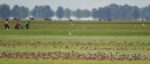 Birding Zambia - Image 4