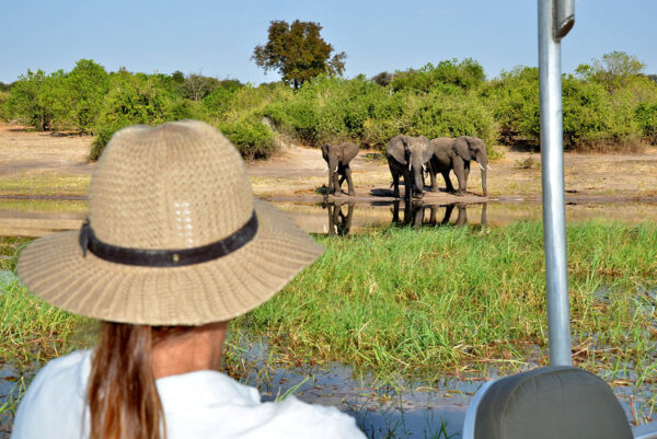Chobe Bakwena - Image 4