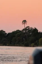 Chundukwa River Lodge - Image 10