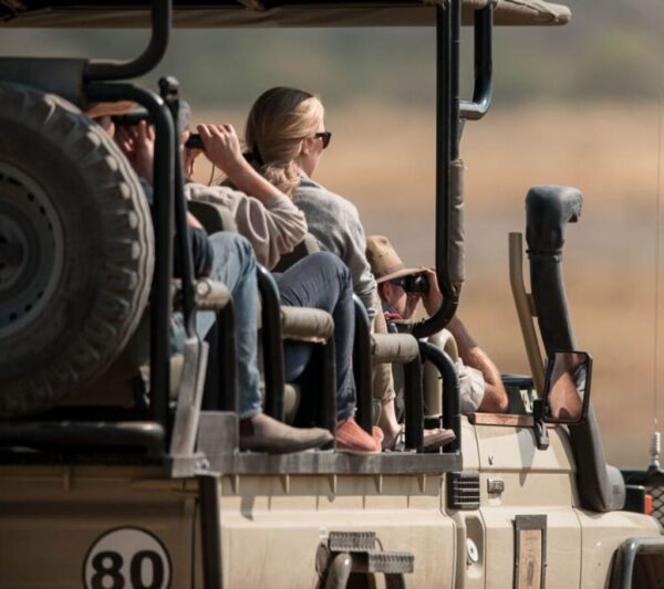 Golden Africa Safaris - Image 3