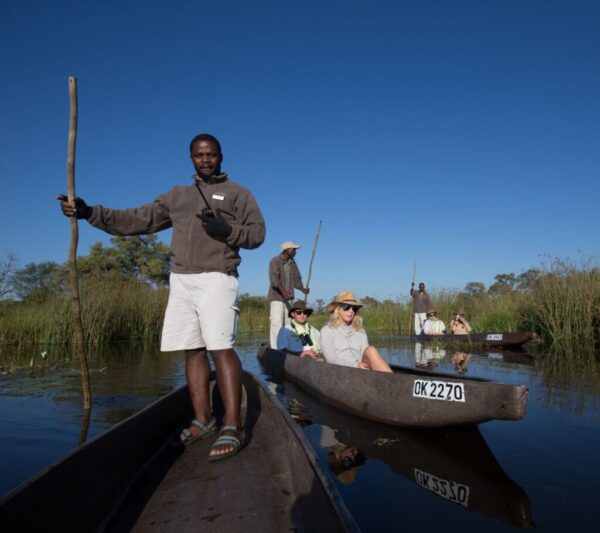 Golden Africa Safaris - Image 4