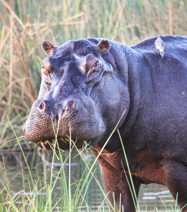 Jackalberry Camp - Image 2