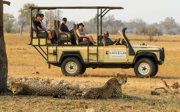 Imvelo Safari Lodges - Image 2