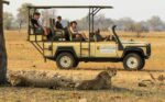 Imvelo Safari Lodges