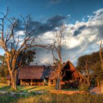 Imvelo Safari Lodges - Image 3