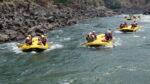 Jollyboys Backpackers - Image 5