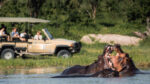 Kalahari Tours - Image 2