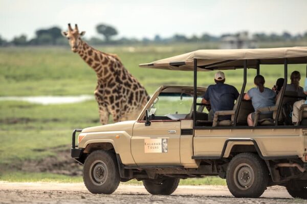 Kalahari Tours - Image 3