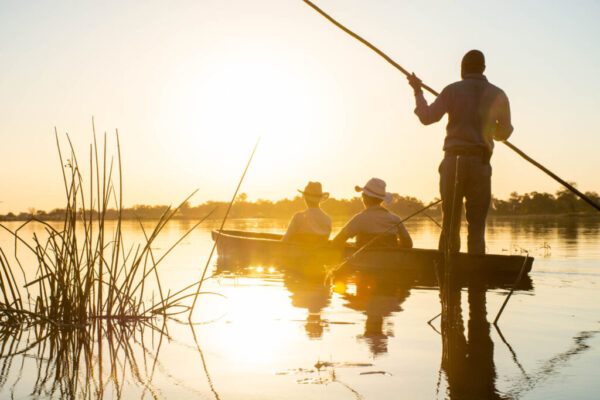 Kwando Safaris - Image 5