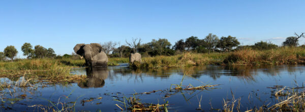 Letaka Safaris - Image 2