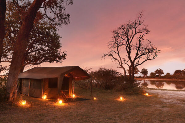 Letaka Safaris - Image 3