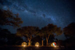 Letaka Safaris - Image 4