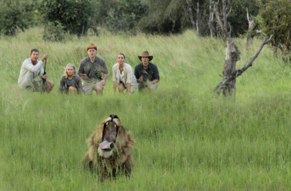 Letaka Safaris - Image 5