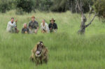 Letaka Safaris - Image 5