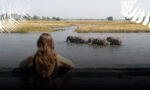 Livingstone Island - Image 4