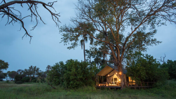 Machaba Safaris - Image 2