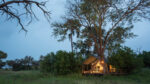 Machaba Safaris - Image 2