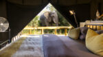 Machaba Safaris - Image 5