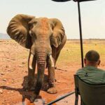 Musango Safari Camp - Image 2
