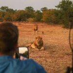 Musango Safari Camp - Image 3