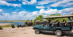 Ngoma Safari Lodge - Image 3