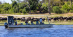 Ngoma Safari Lodge - Image 4