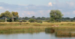 Nkasa Lupala - Image 3