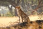 Camp Silwane Expeditions PvtLtd