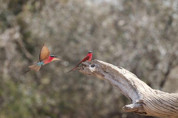 Camp Silwane Expeditions PvtLtd - Image 5