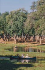 Classic Zambia - Image 3