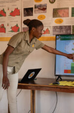 Classic Zambia - Image 5