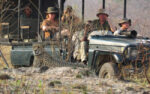 Everwild - Image 4